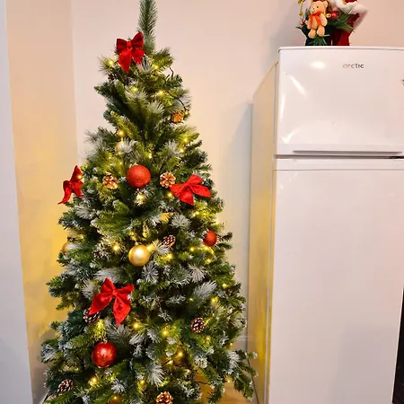 Апартаменты Center With Terrace Бухарест