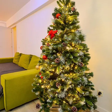 Center With Terrace * בוקרשט